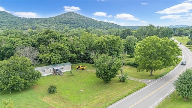 4364 Peytonsville Trinity Rd, Franklin, TN 37064 - photo 2