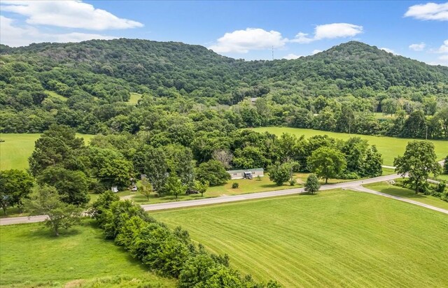 4364 Peytonsville Trinity Rd, Franklin, TN 37064 - photo 8