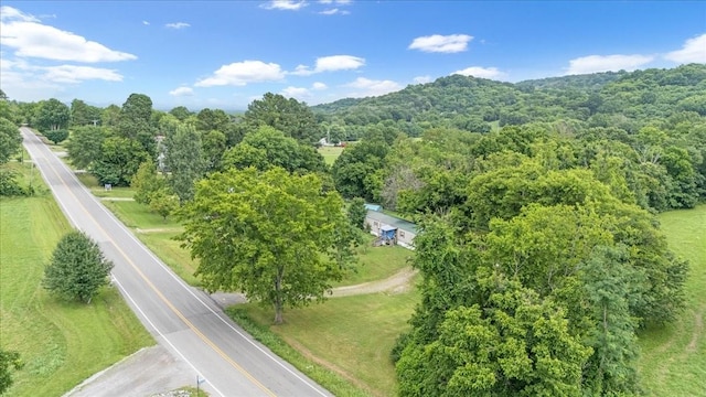 4364 Peytonsville Trinity Rd, Franklin, TN 37064 - photo 11