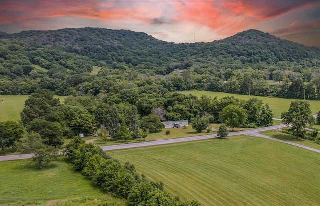 4364 Peytonsville Trinity Rd, Franklin, TN 37064 - photo 4