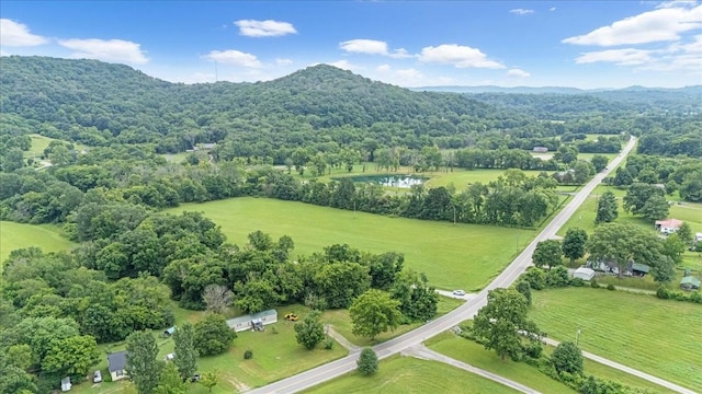 4364 Peytonsville Trinity Rd, Franklin, TN 37064 - photo 15
