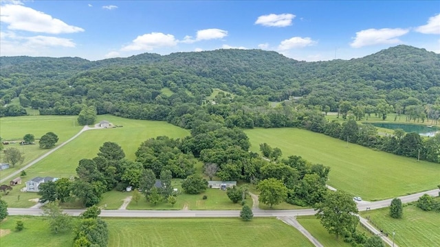 4364 Peytonsville Trinity Rd, Franklin, TN 37064 - photo 16