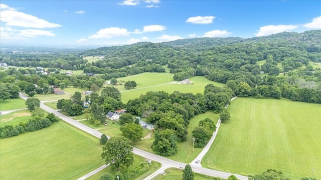 4364 Peytonsville Trinity Rd, Franklin, TN 37064 - photo 14