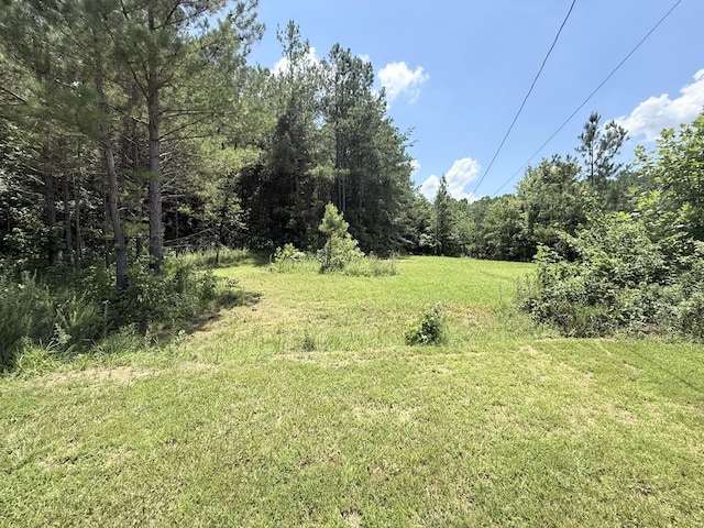 3640 Woodburn Hay Rd, Hopkinsville, KY 42240 - photo 16