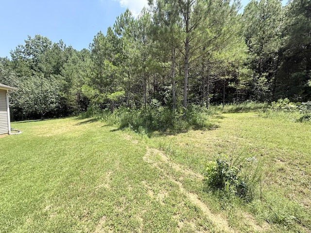 3640 Woodburn Hay Rd, Hopkinsville, KY 42240 - photo 17