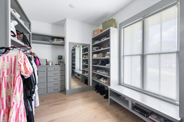 1526 Lipscomb Dr, Brentwood, TN 37027 - spacious closet with light wood-style floors
