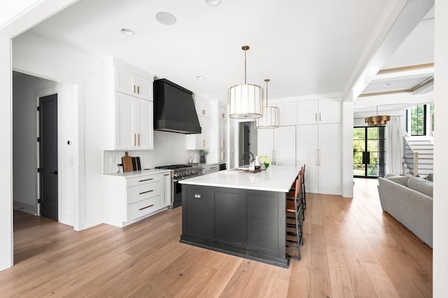 1526 Lipscomb Dr, Brentwood, TN 37027 - kitchen with high end stove, premium range hood, white cabinets, light wood finished floors, and decorative backsplash