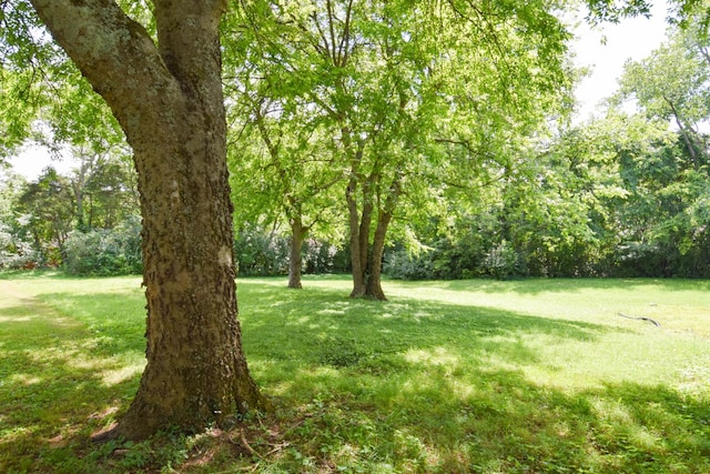 405 Melissa Ct, Goodlettsville, TN 37072 - photo 27