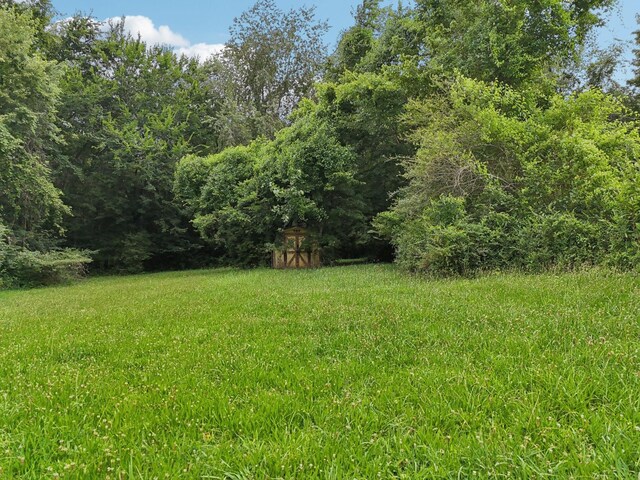 2616 Union Hall Rd, Clarksville, TN 37040 - photo 4