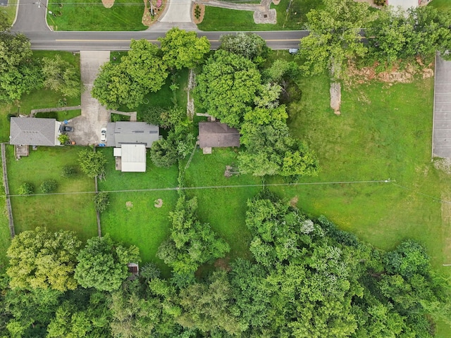 2616 Union Hall Rd, Clarksville, TN 37040 - photo 5