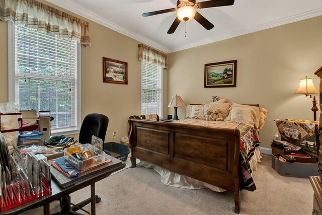 7003 Neville Dr, Ooltewah, TN 37363 - bedroom with carpet flooring, ornamental molding, a desk, and a ceiling fan