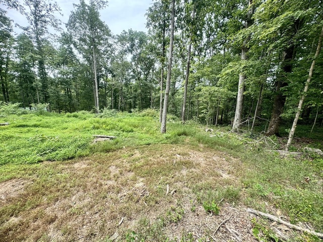 372 Cheree Loop, Stewart, TN 37175