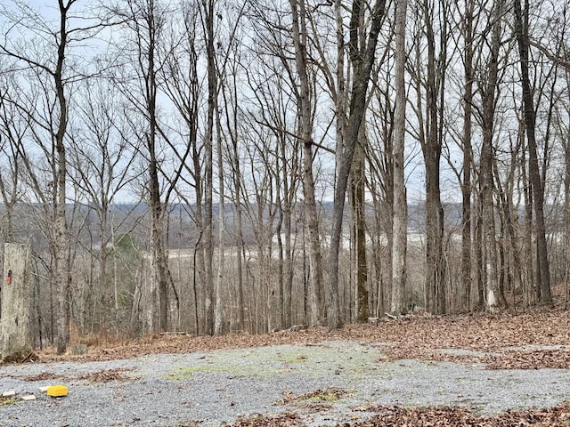 372 Cheree Loop, Stewart, TN 37175