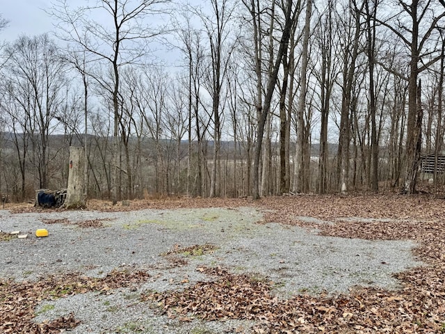 372 Cheree Loop, Stewart, TN 37175