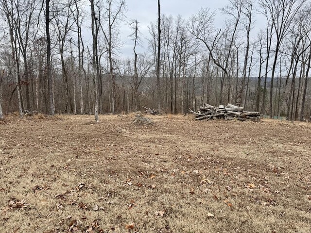 372 Cheree Loop, Stewart, TN 37175