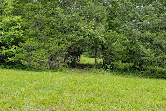 180 Lake Holw, Woodbury, TN 37190 - photo 26