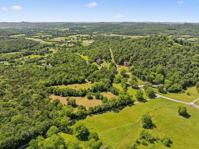180 Lake Holw, Woodbury, TN 37190 - photo 8