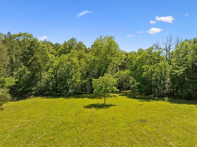 180 Lake Holw, Woodbury, TN 37190 - photo 24