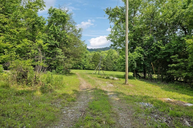 180 Lake Holw, Woodbury, TN 37190 - photo 18