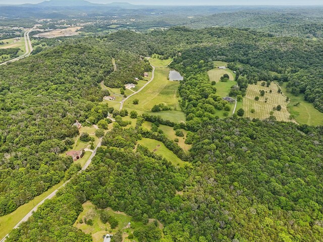 180 Lake Holw, Woodbury, TN 37190 - photo 54
