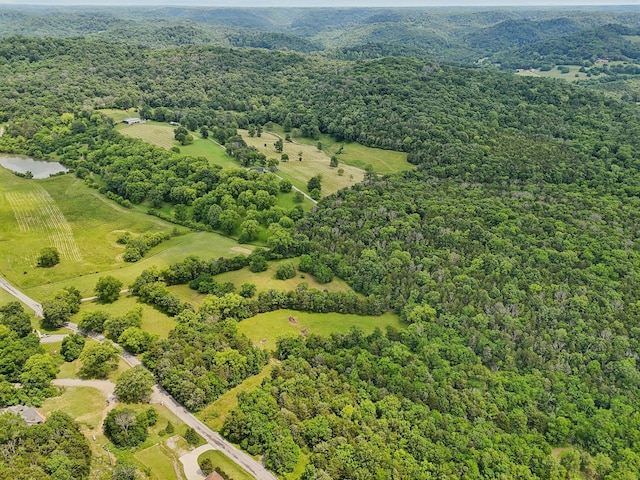 180 Lake Holw, Woodbury, TN 37190 - photo 52