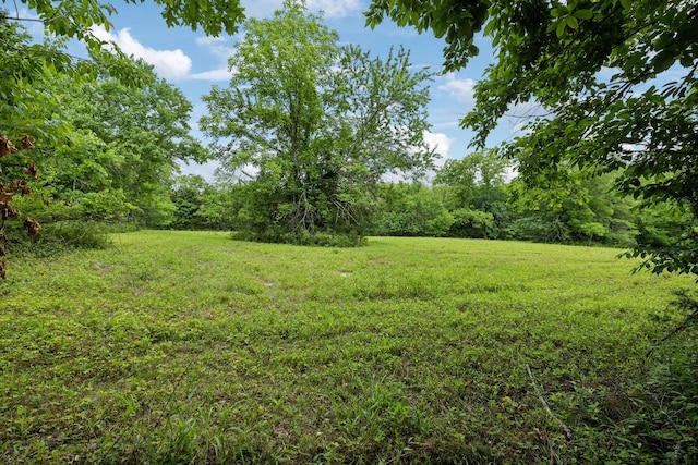 180 Lake Holw, Woodbury, TN 37190 - photo 40