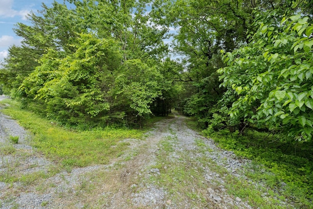 180 Lake Holw, Woodbury, TN 37190 - photo 10