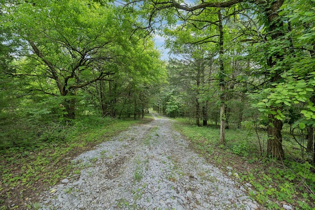 180 Lake Holw, Woodbury, TN 37190 - photo 12
