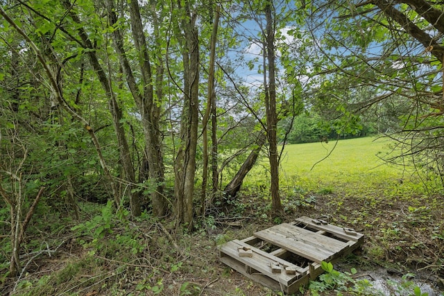 180 Lake Holw, Woodbury, TN 37190 - photo 30