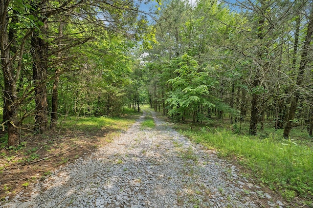 180 Lake Holw, Woodbury, TN 37190 - photo 14