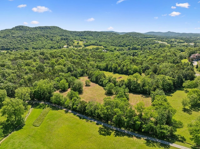180 Lake Holw, Woodbury, TN 37190 - photo 4