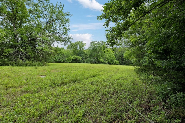 180 Lake Holw, Woodbury, TN 37190 - photo 41