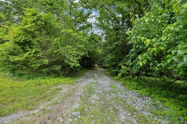180 Lake Holw, Woodbury, TN 37190 - photo 11