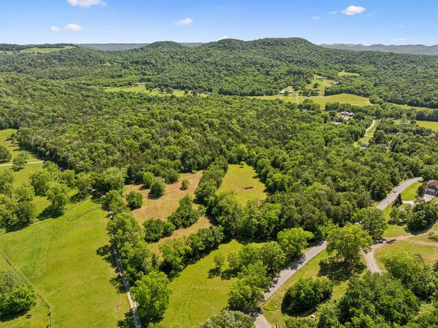 180 Lake Holw, Woodbury, TN 37190 - photo 7