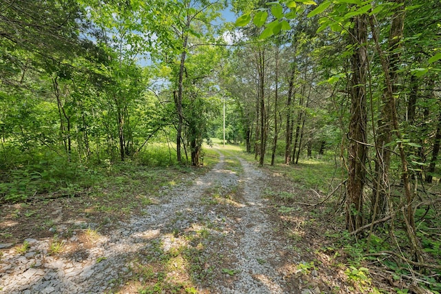 180 Lake Holw, Woodbury, TN 37190 - photo 16