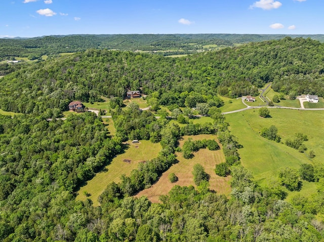 180 Lake Holw, Woodbury, TN 37190 - photo 62