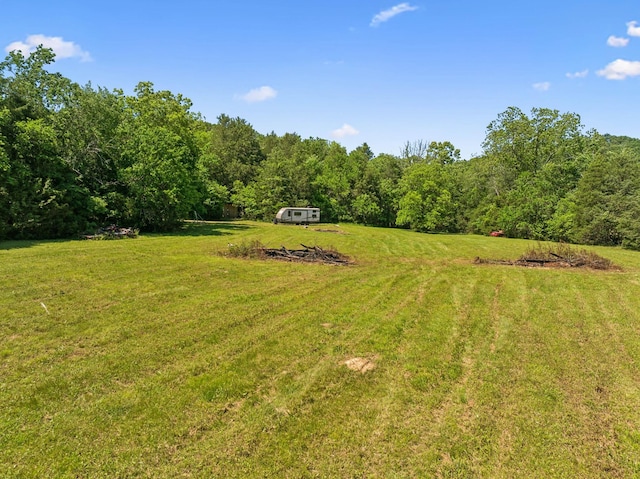 180 Lake Holw, Woodbury, TN 37190 - photo 22