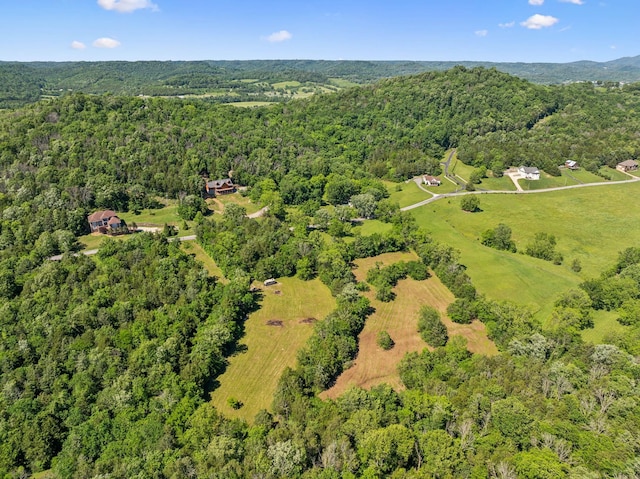 180 Lake Holw, Woodbury, TN 37190 - photo 61