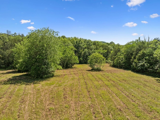 180 Lake Holw, Woodbury, TN 37190 - photo 42
