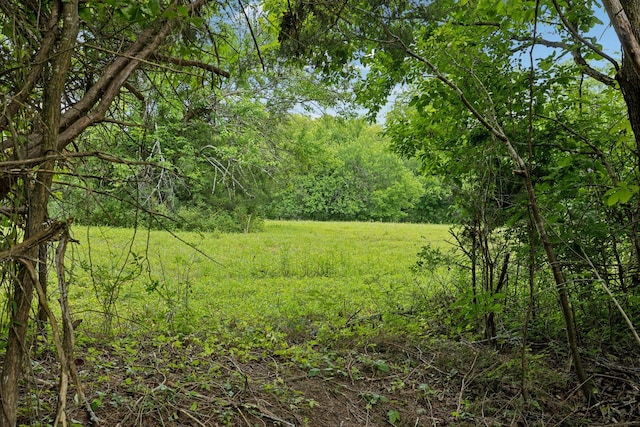 180 Lake Holw, Woodbury, TN 37190 - photo 39