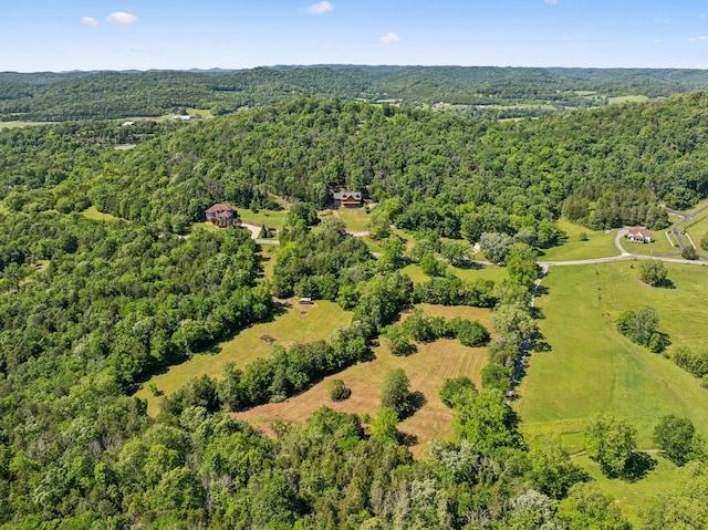 180 Lake Holw, Woodbury, TN 37190 - photo 63