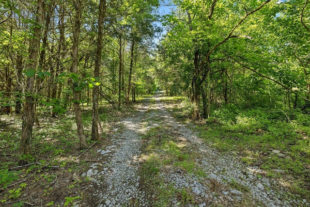 180 Lake Holw, Woodbury, TN 37190 - photo 48