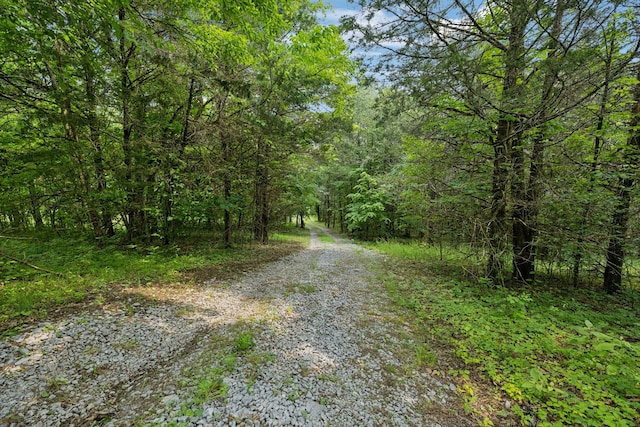 180 Lake Holw, Woodbury, TN 37190 - photo 13