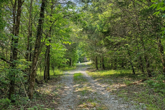 180 Lake Holw, Woodbury, TN 37190 - photo 49