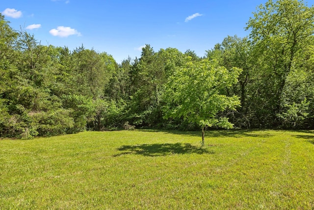 180 Lake Holw, Woodbury, TN 37190 - photo 23