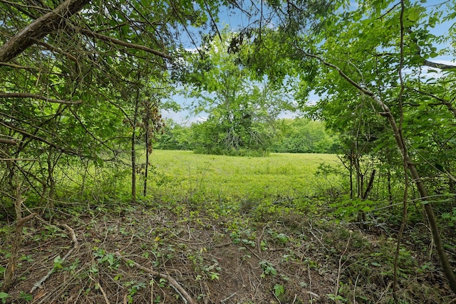 180 Lake Holw, Woodbury, TN 37190 - photo 38
