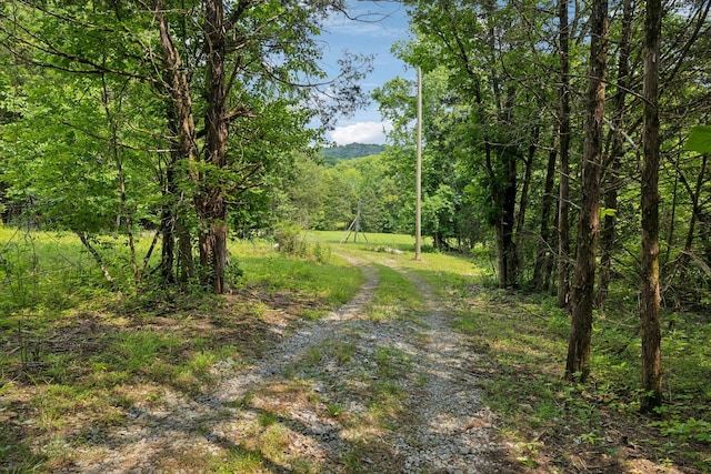 180 Lake Holw, Woodbury, TN 37190 - photo 17