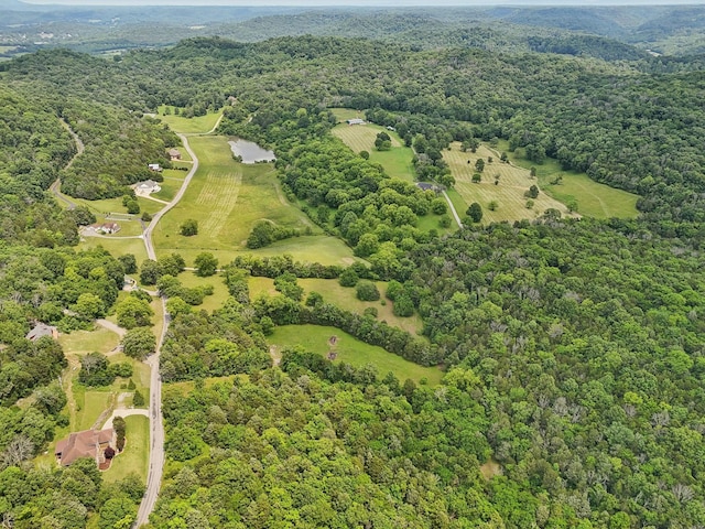 180 Lake Holw, Woodbury, TN 37190 - photo 53