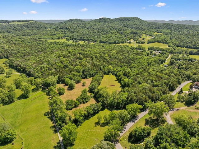 180 Lake Holw, Woodbury, TN 37190 - photo 59