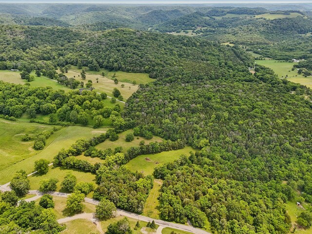 180 Lake Holw, Woodbury, TN 37190 - photo 51